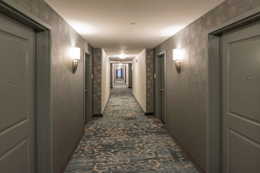 Hilton Garden Inn Mount Holly/Westampton Nội địa bức ảnh